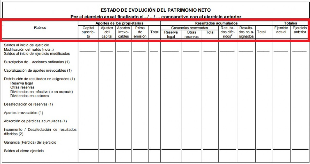 Componentes del Estado de Evolución del Patrimonio Neto Consejo